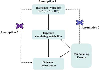 Identification of circulating metabolites linked to the risk of breast cancer: a mendelian randomization study